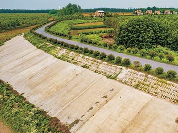 安慶江心洲基礎(chǔ)護堤建設(shè)項目